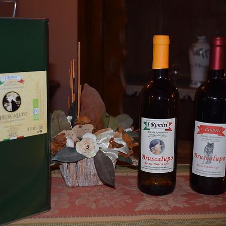 Agriturismo I Romiti Castiglione del Lago Zewnętrze zdjęcie