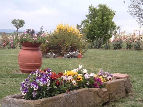 Agriturismo I Romiti Castiglione del Lago Zewnętrze zdjęcie