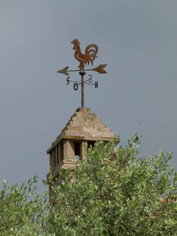Agriturismo I Romiti Castiglione del Lago Zewnętrze zdjęcie