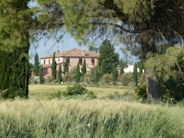 Willa Agriturismo I Romiti Castiglione del Lago Zewnętrze zdjęcie